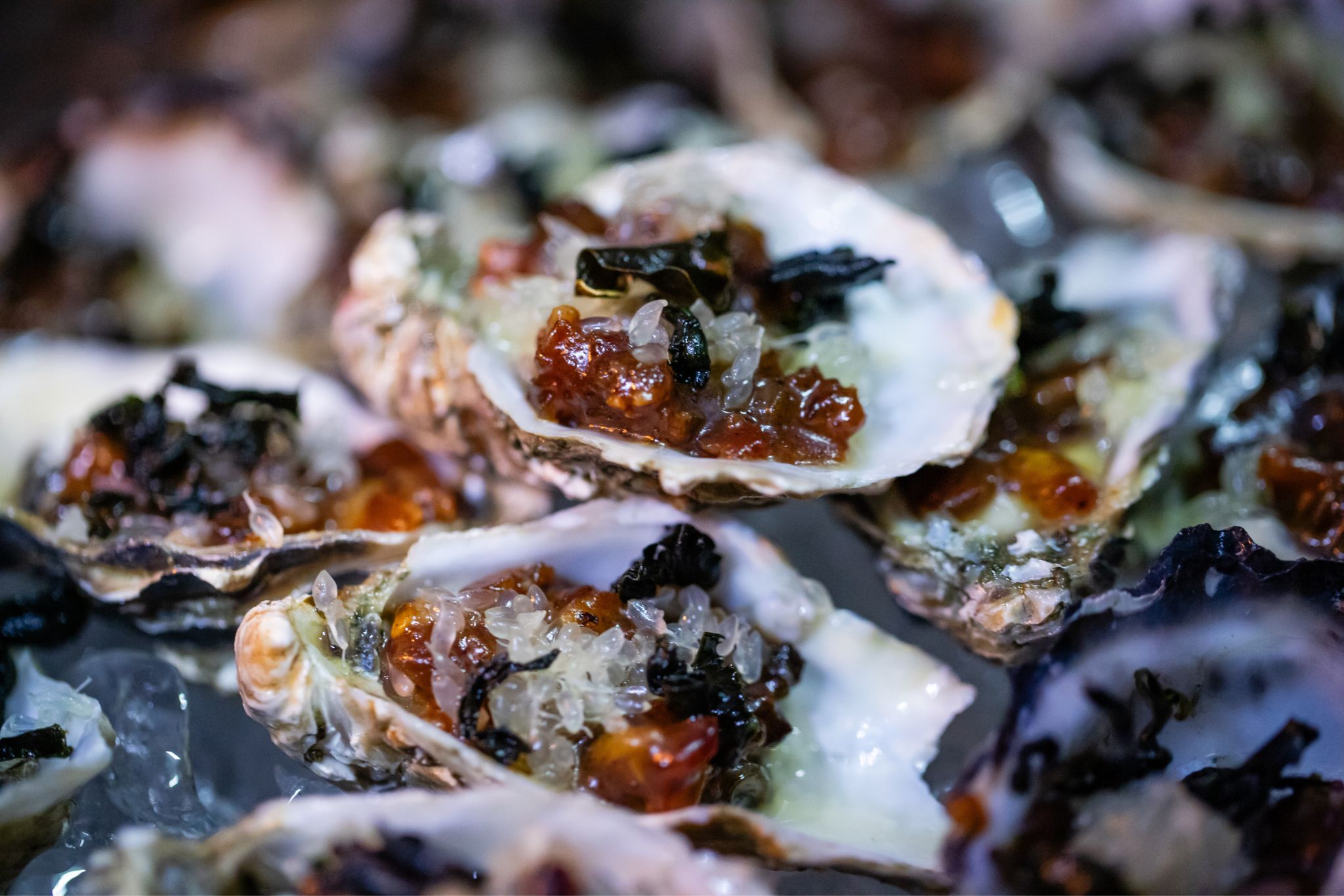 Knysna Oyster Festival 2026: Four Decades of Oysters, Sport and Community Spirit